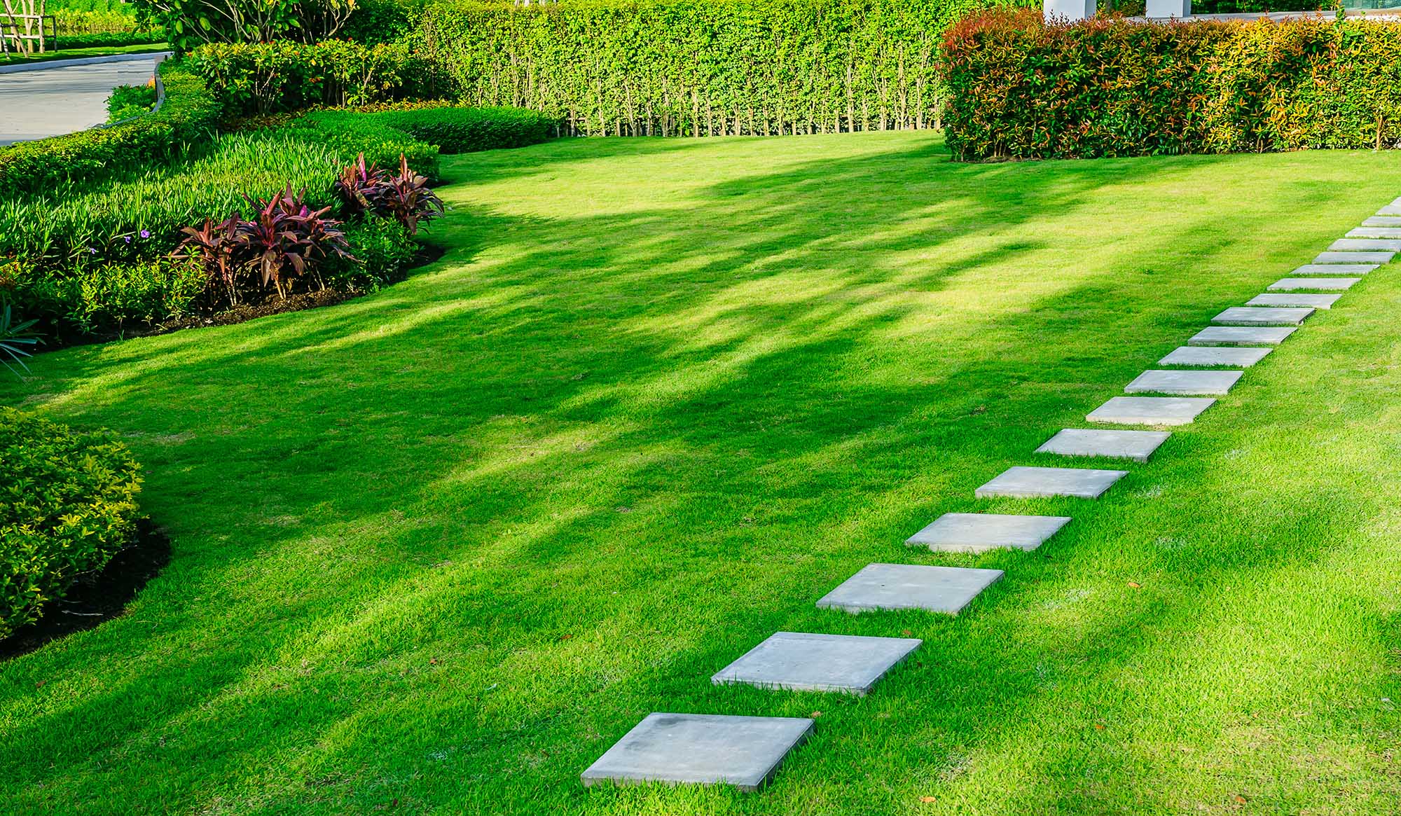 How to Prepare Your Lawn for the spring